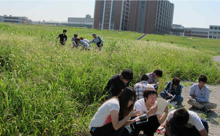 工大裏の淀川河川敷に広がるワンド(湾処)と呼ばれる地形での植生調査実習風景