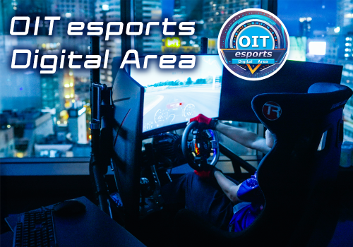 esports Digital Area サイト