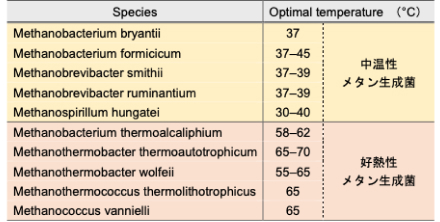 水素資化メタン生成菌（Metanogens）の例