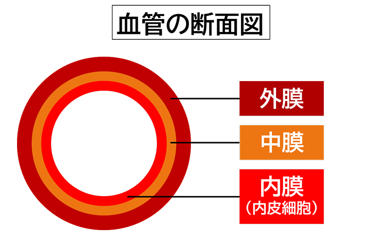 （図２）