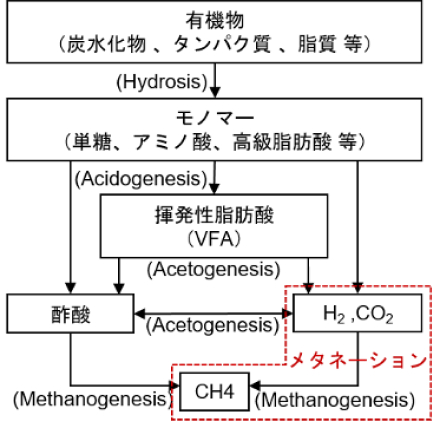 嫌気性消化プロセス