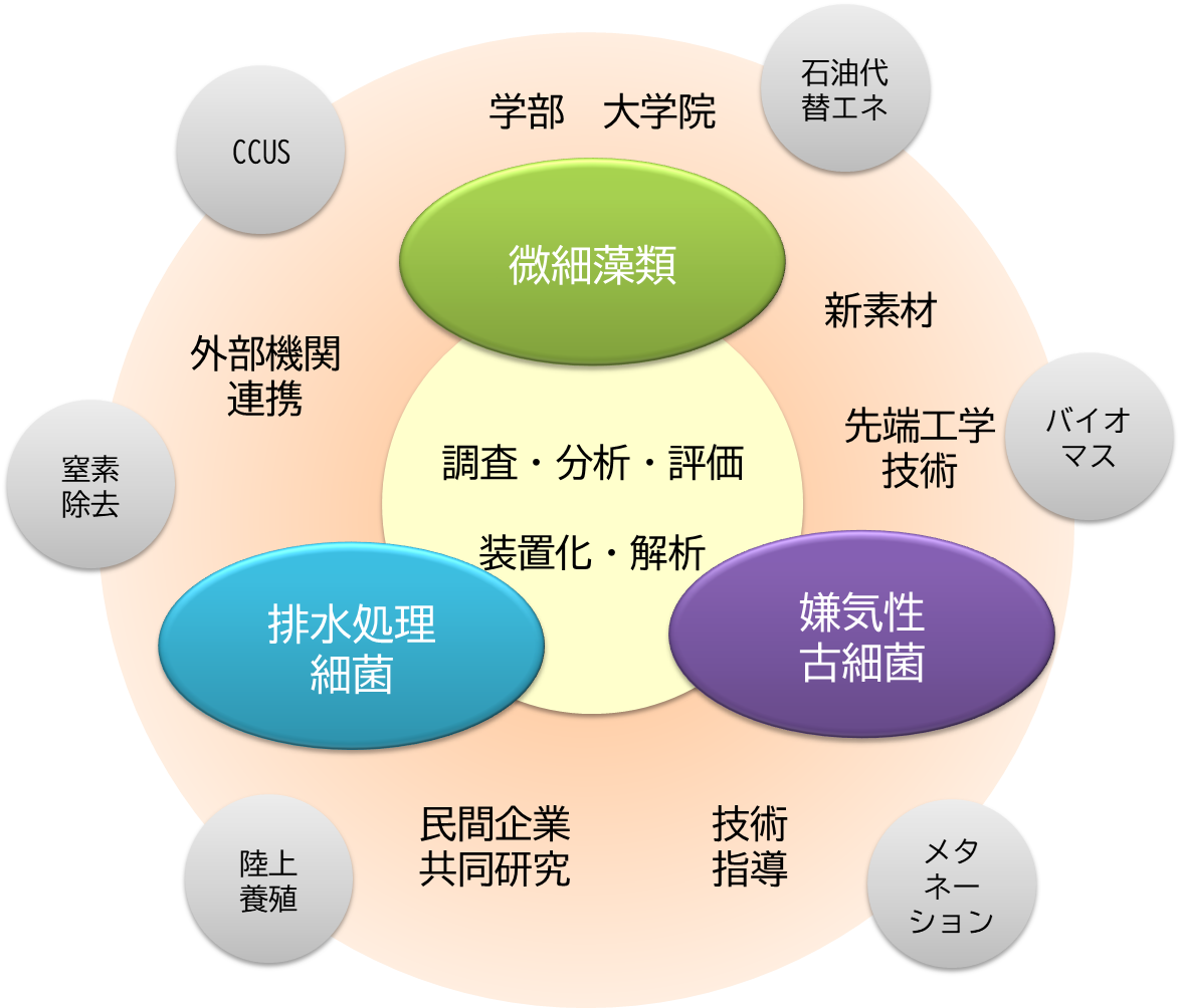 他学科、海外等の連携大学、企業との共同研究拠点